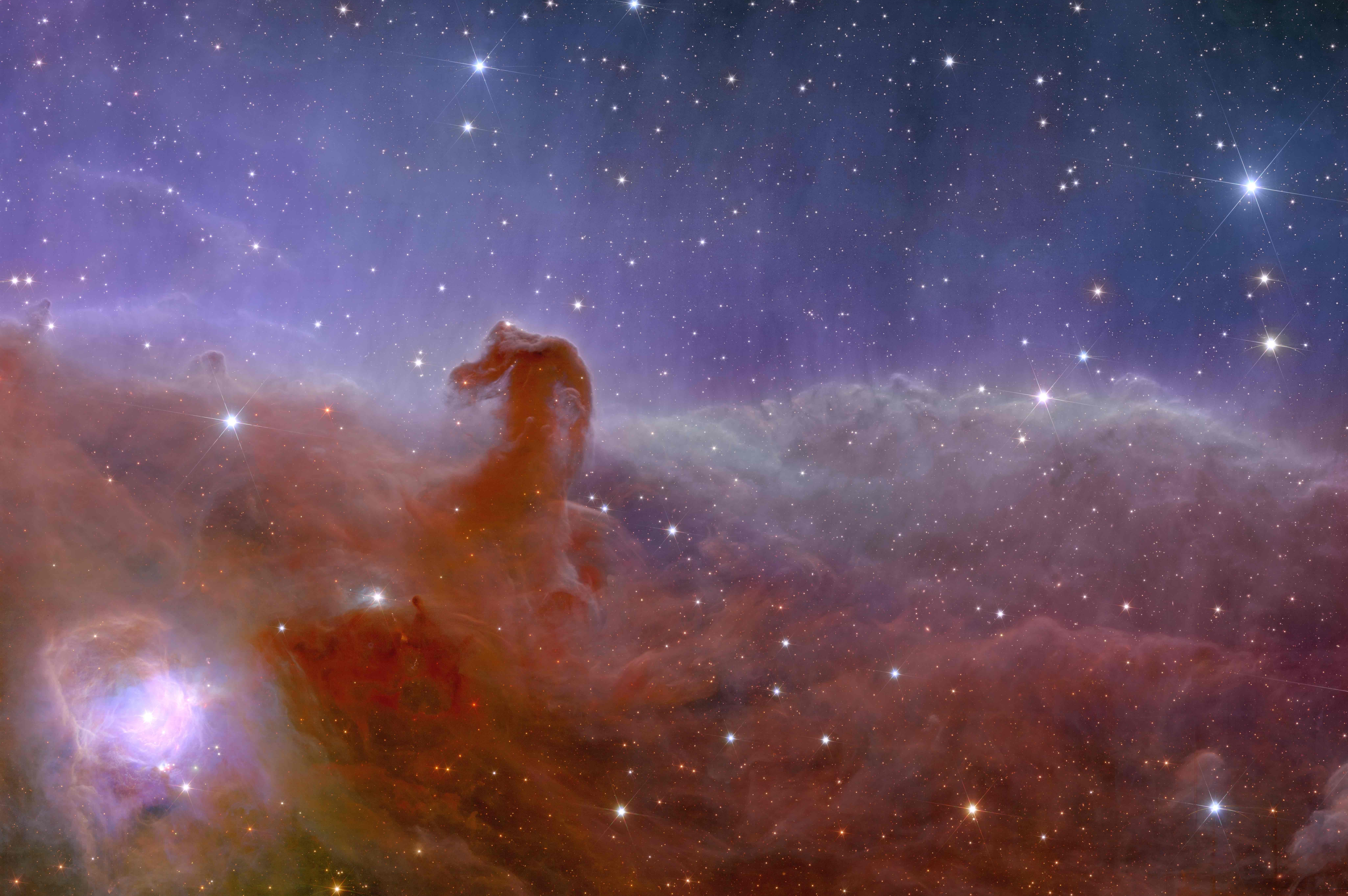 Euclid view of the Horsehead Neubula